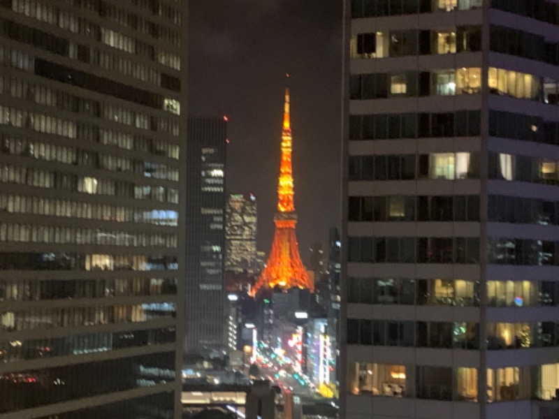 チャーミーさんのアジュール竹芝 天空の湯のサ活写真