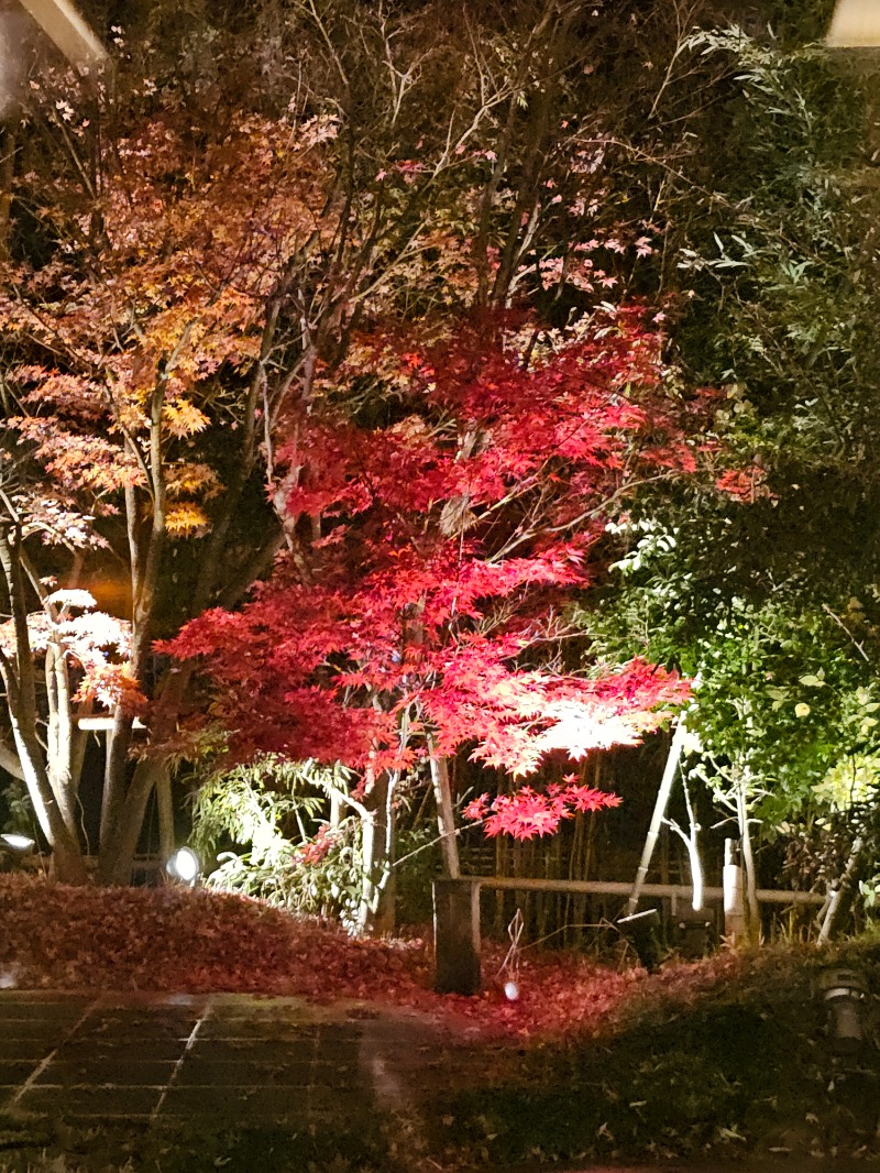 ハニコさんの癒しの里名張の湯のサ活写真