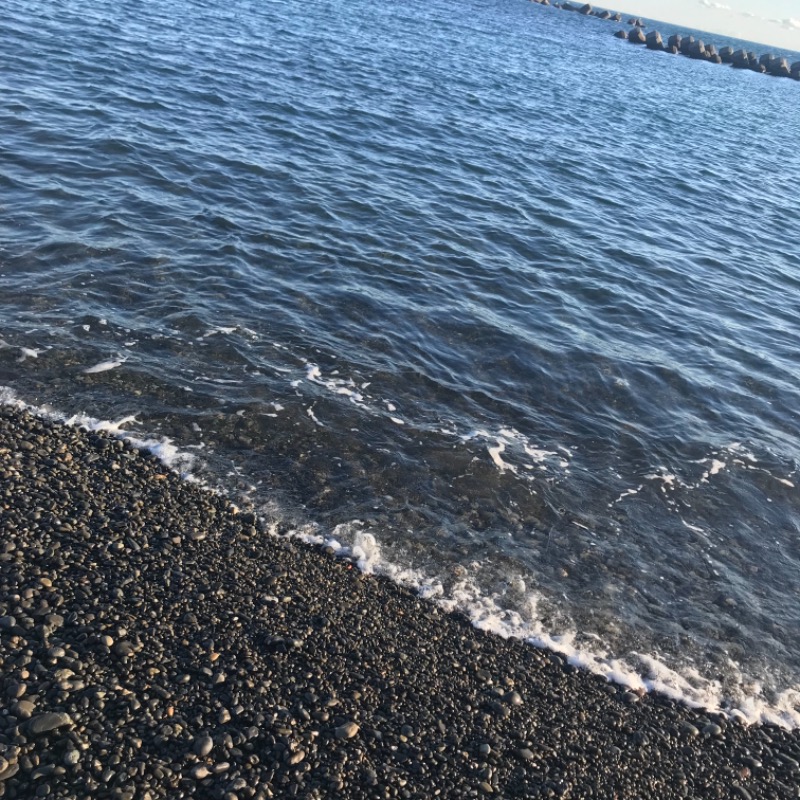 むむぞうさんの用宗みなと温泉のサ活写真