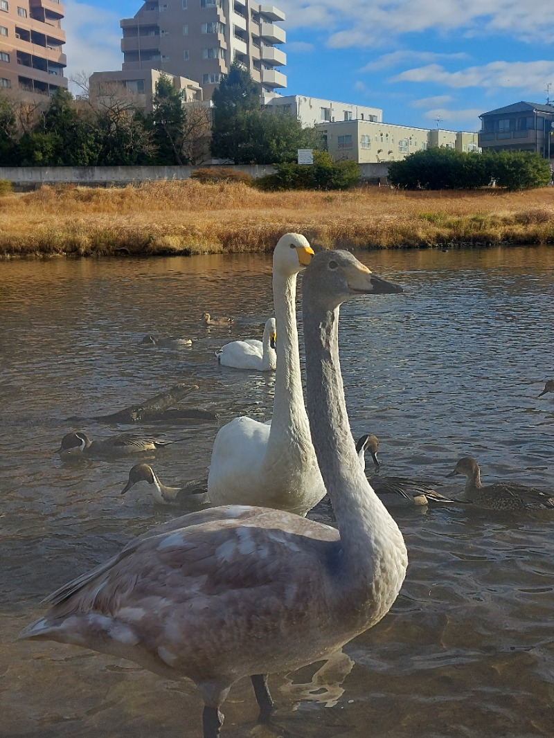 蒸され屋 YOSHIさんのサウナ&カプセル キュア国分町のサ活写真