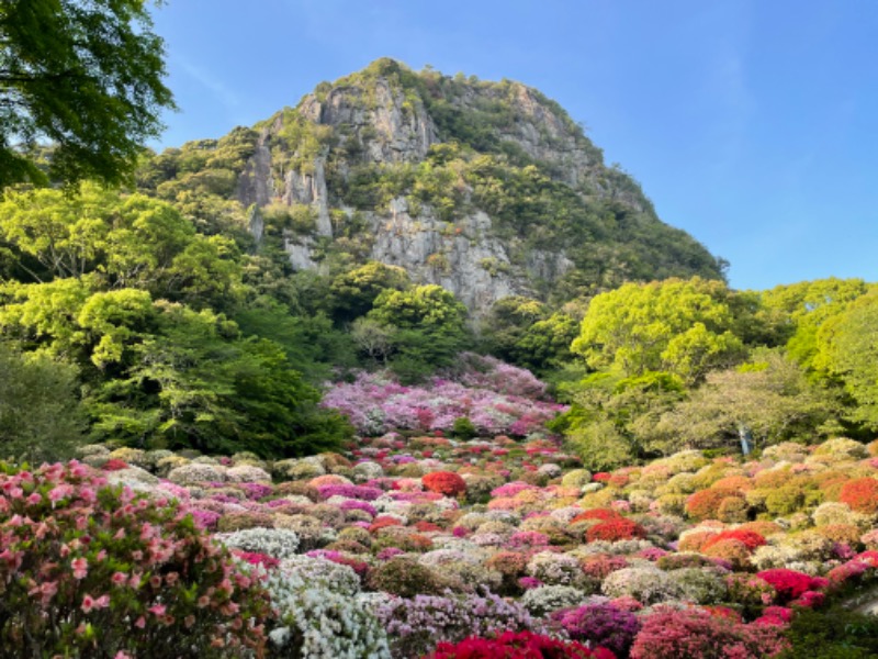 ばんちゃんさんの御船山楽園ホテル  らかんの湯のサ活写真