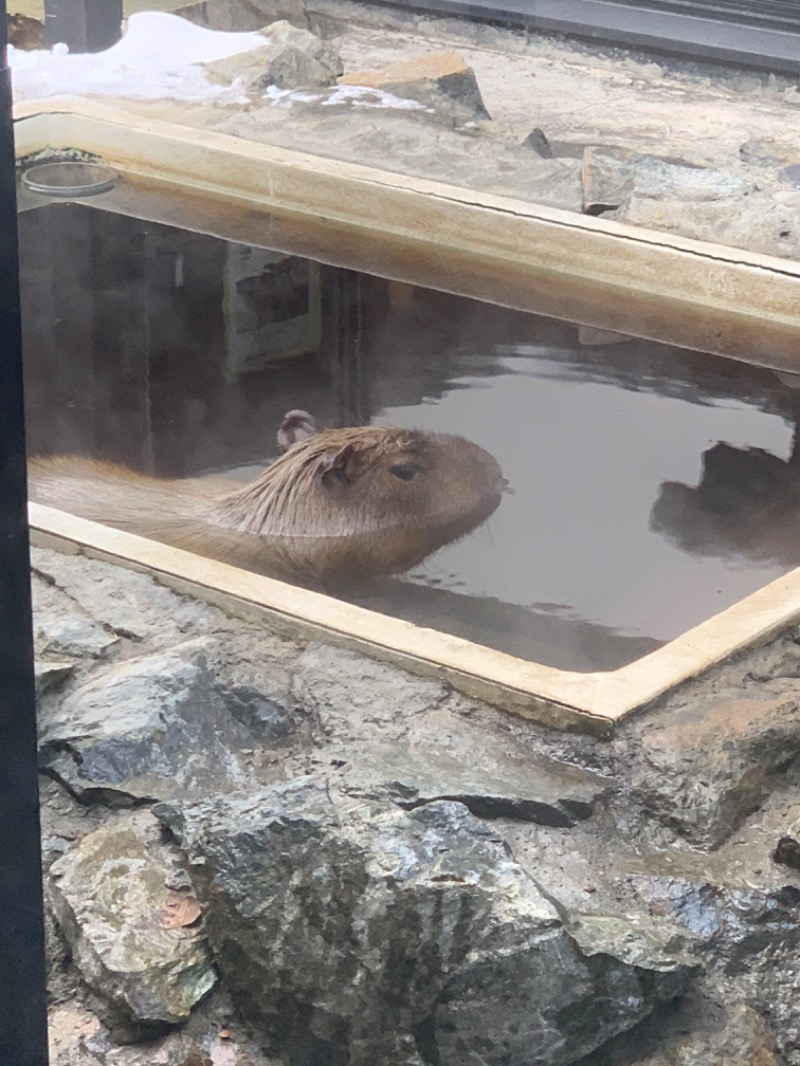 ユウさんの石狩天然温泉 番屋の湯のサ活写真