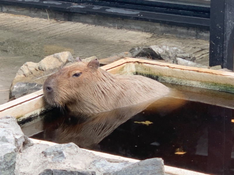 ユウさんの石狩天然温泉 番屋の湯のサ活写真