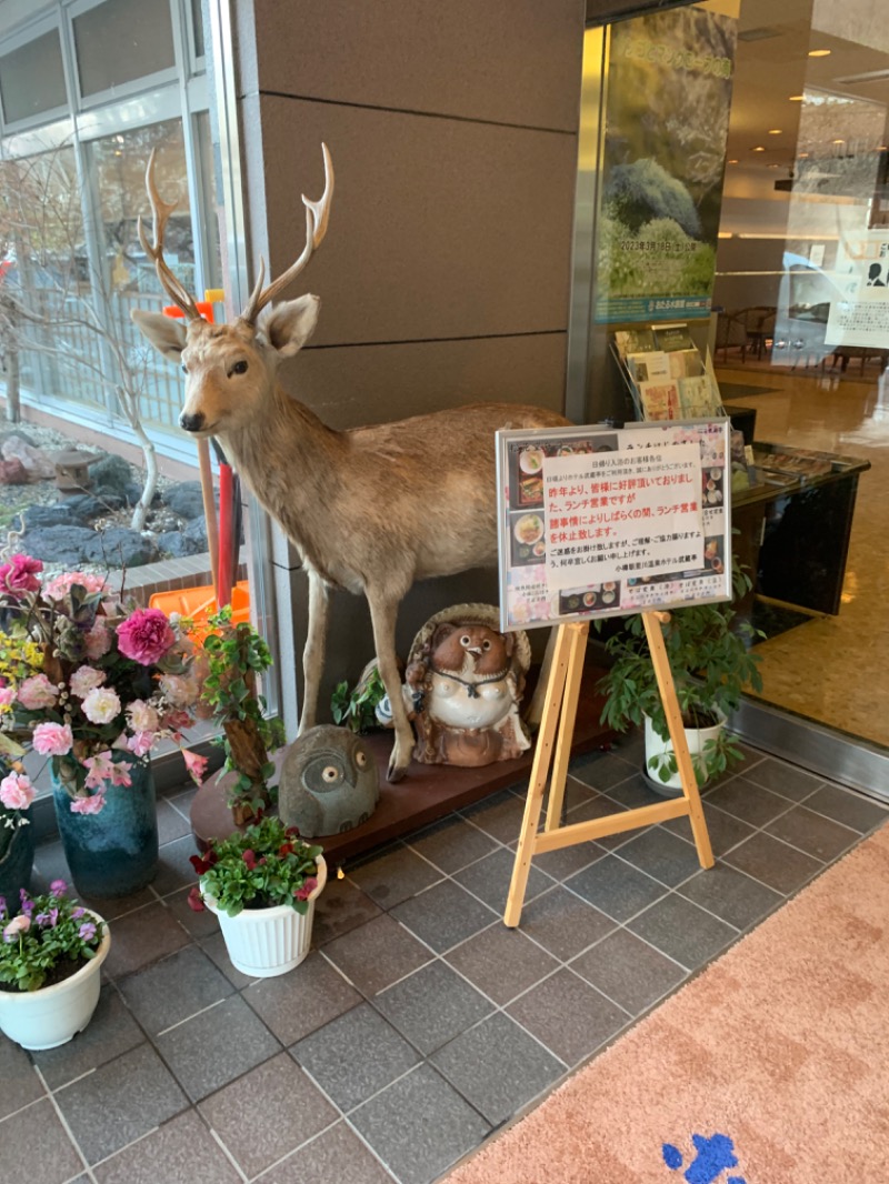 ユウさんのホテル 武蔵亭のサ活写真