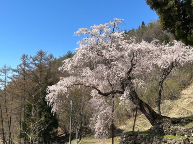 Masayoshiさんの松川館|長野の秘湯とサウナ宿のサ活写真