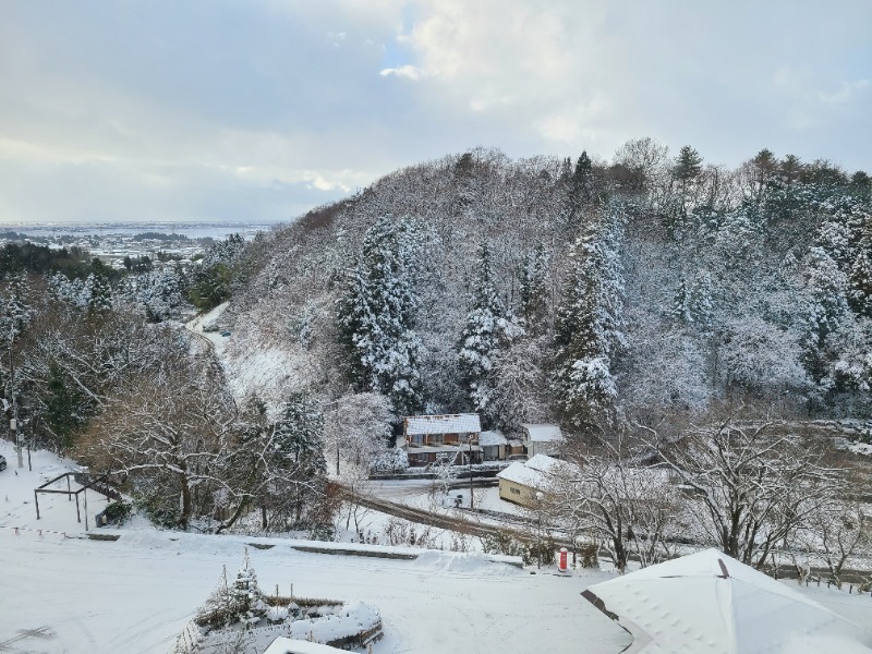 ひろみうさんの湯田上温泉  ホテル小柳 (oyanagi)のサ活写真