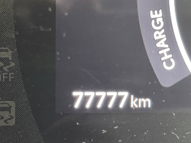 レラさんのほろしん温泉ほたる館のサ活写真