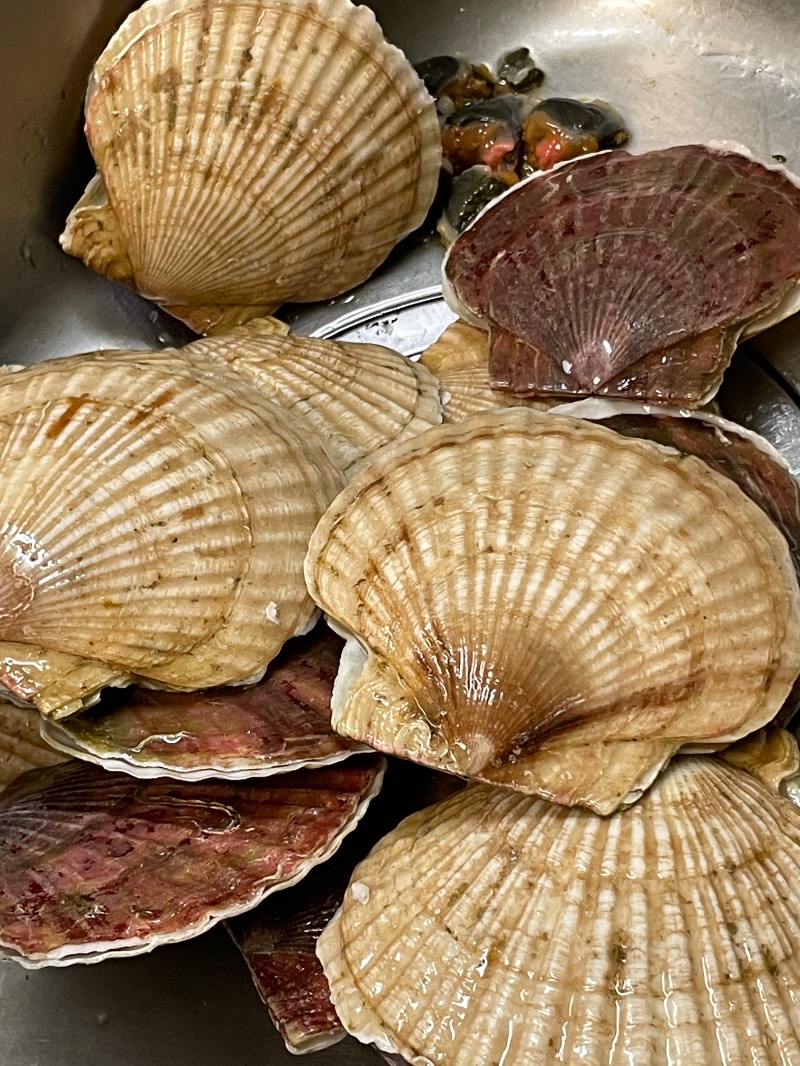 レラさんの五味温泉のサ活写真