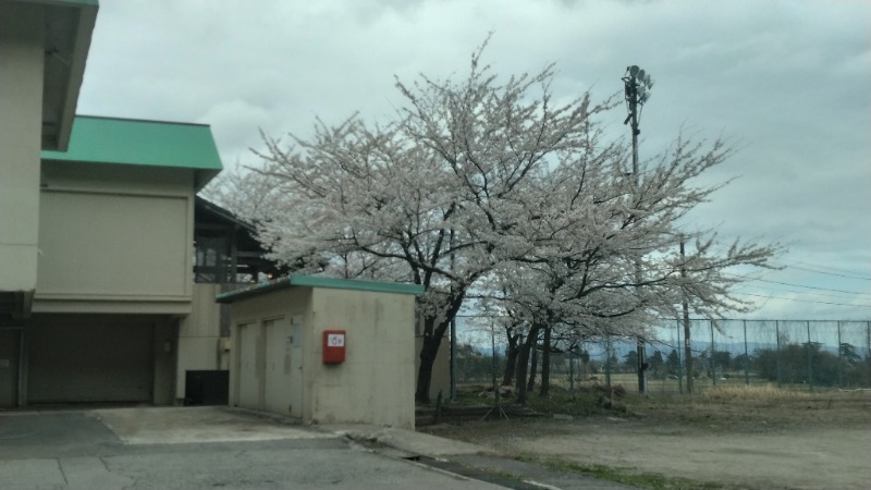 381さんの庄川清流温泉 となみ野庄川荘のサ活写真