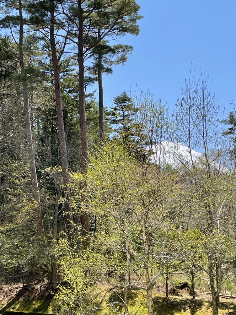 虫親父さんの河口湖 ホテル 桜庵のサ活写真