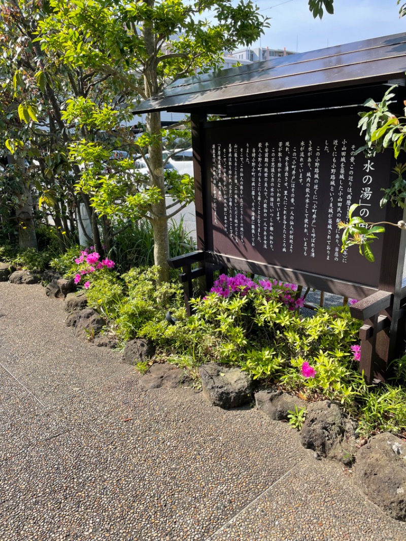 虫親父さんの多摩境天然温泉 森乃彩のサ活写真