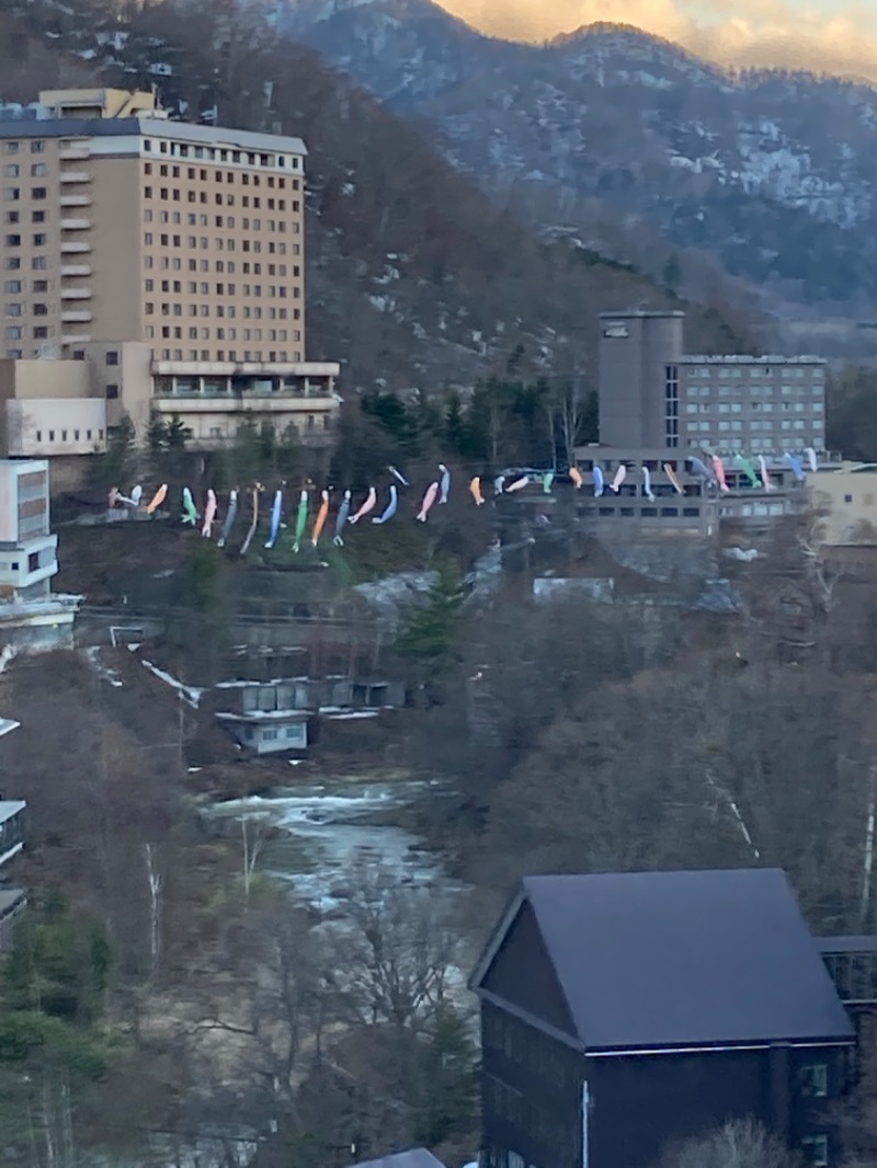 片足は旭川にも突っ込むさんの定山渓ビューホテルのサ活写真