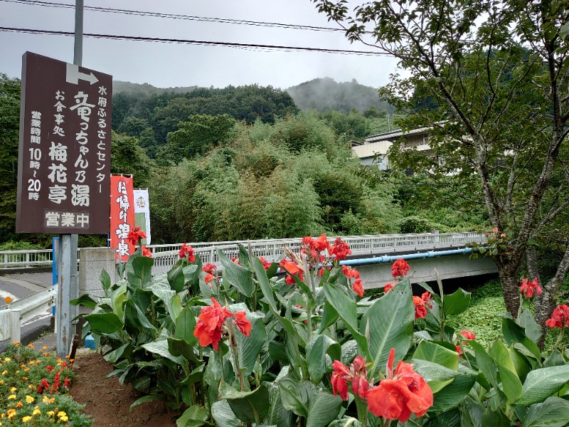 温泉登山トラベラーさんの竜っちゃん乃湯のサ活写真