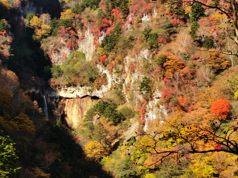 温泉登山トラベラーさんの草津温泉 大滝乃湯のサ活写真