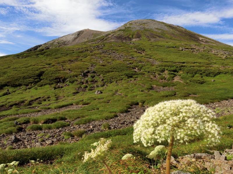 温泉登山トラベラーさんのひらゆの森のサ活写真