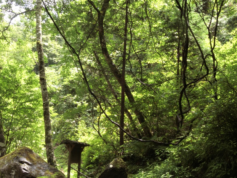 温泉登山トラベラーさんの信州健康ランドのサ活写真