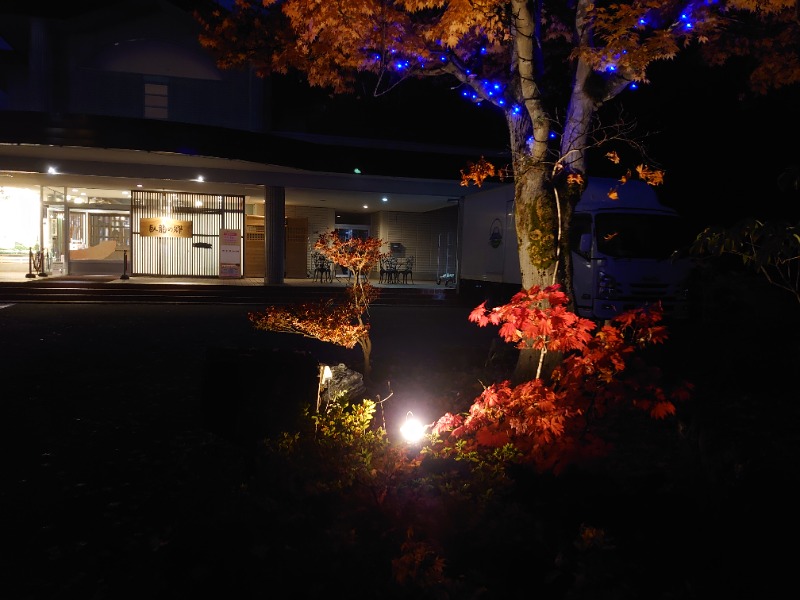 温泉登山トラベラーさんの飛騨高山 自家源泉の湯 臥龍の郷のサ活写真