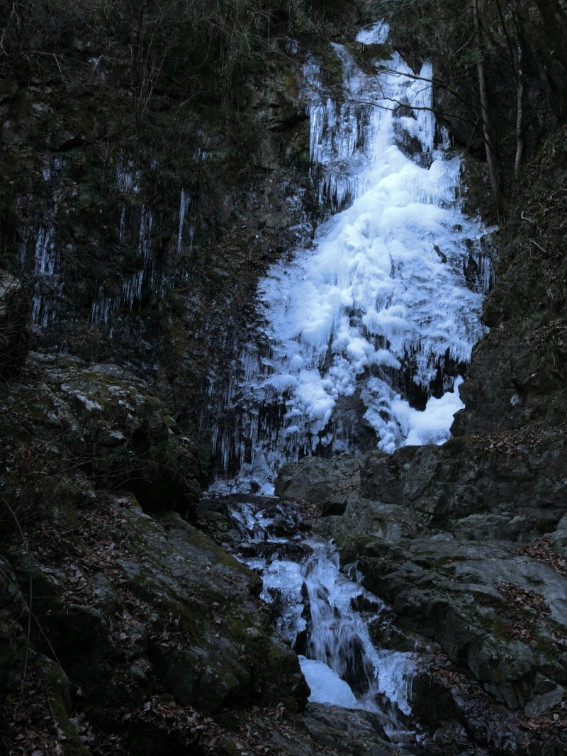 温泉登山トラベラーさんの秋川渓谷 瀬音の湯のサ活写真