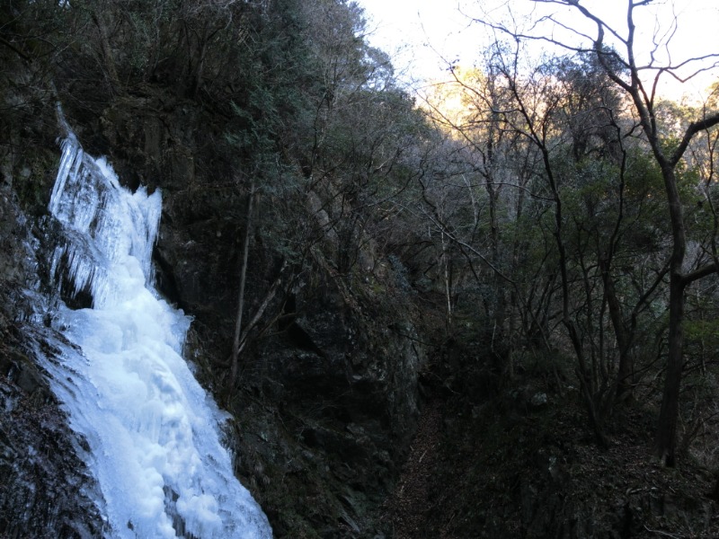 温泉登山トラベラーさんの秋川渓谷 瀬音の湯のサ活写真