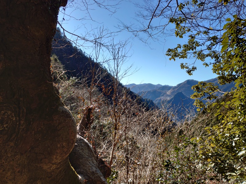 温泉登山トラベラーさんの秋川渓谷 瀬音の湯のサ活写真