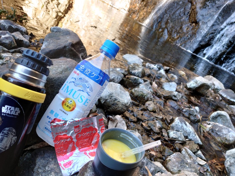 温泉登山トラベラーさんの秋川渓谷 瀬音の湯のサ活写真