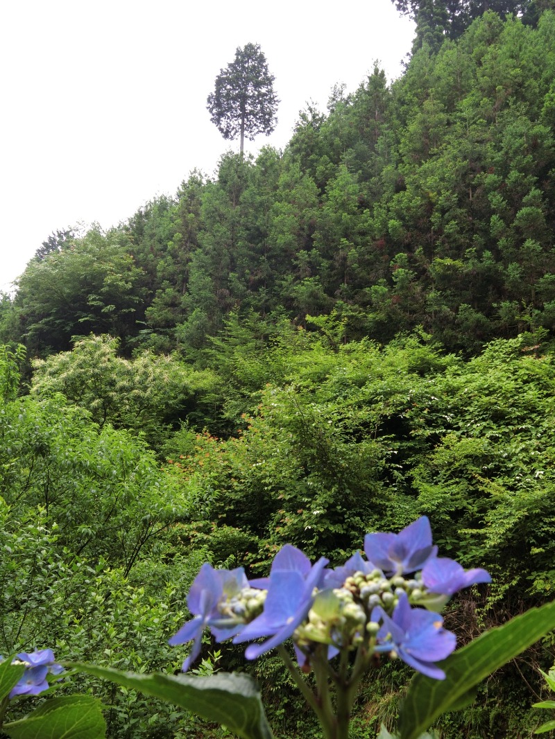 温泉登山トラベラーさんの昭島温泉 湯楽の里のサ活写真