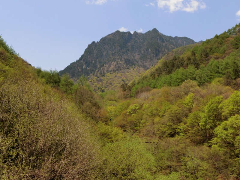 温泉登山トラベラーさんの石和健康ランドのサ活写真