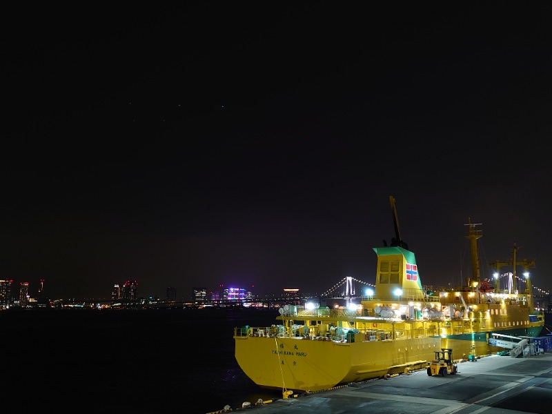 温泉登山トラベラーさんのアジュール竹芝 天空の湯のサ活写真