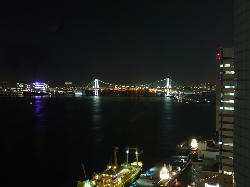 温泉登山トラベラーさんのアジュール竹芝 天空の湯のサ活写真