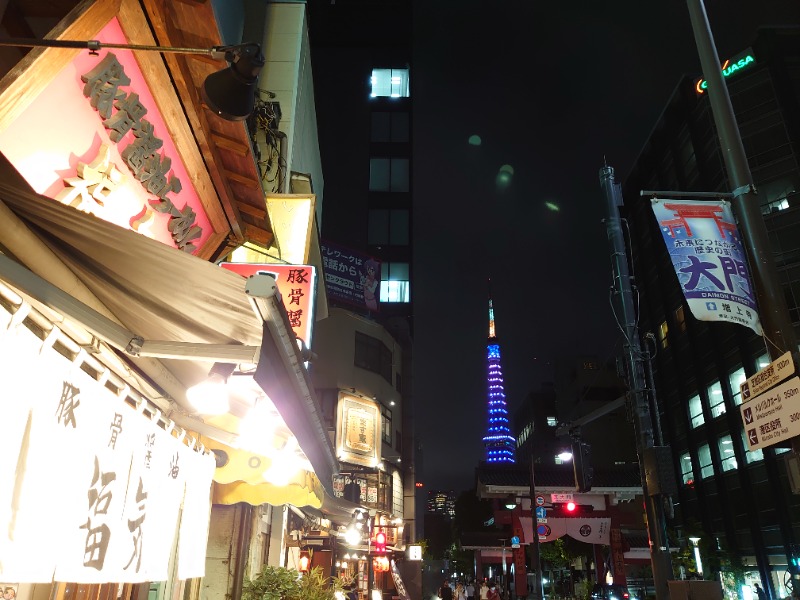 温泉登山トラベラーさんのアジュール竹芝 天空の湯のサ活写真