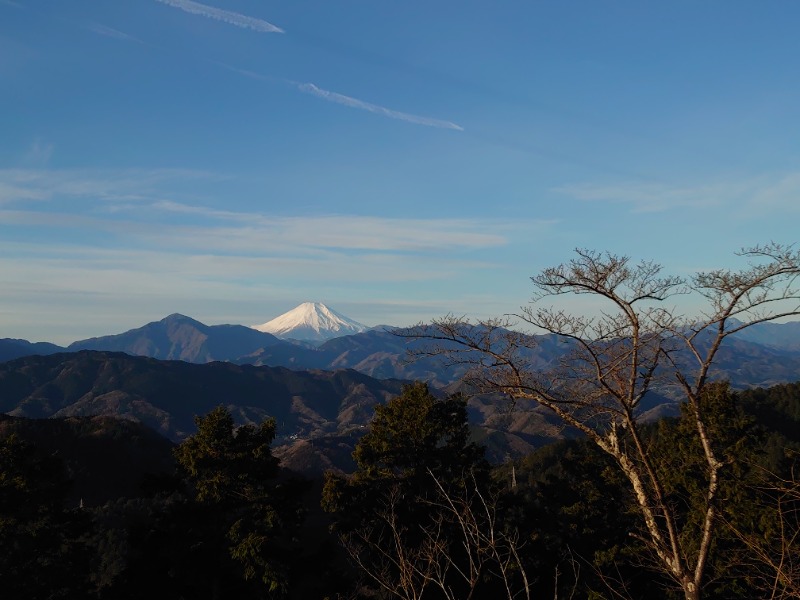 温泉登山トラベラーさんの京王高尾山温泉 極楽湯のサ活写真