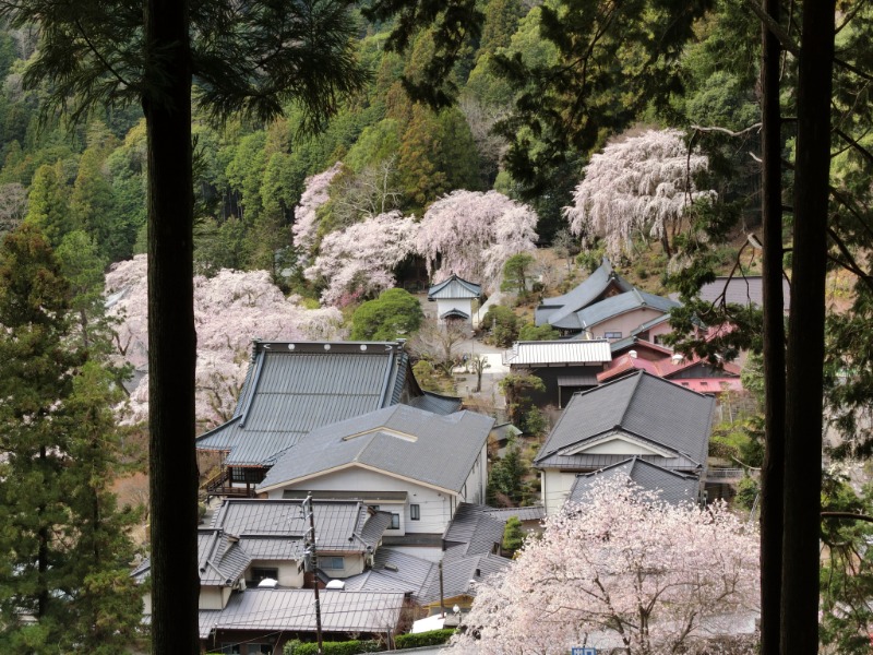 温泉登山トラベラーさんの湯殿館のサ活写真