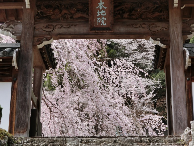 温泉登山トラベラーさんの湯殿館のサ活写真