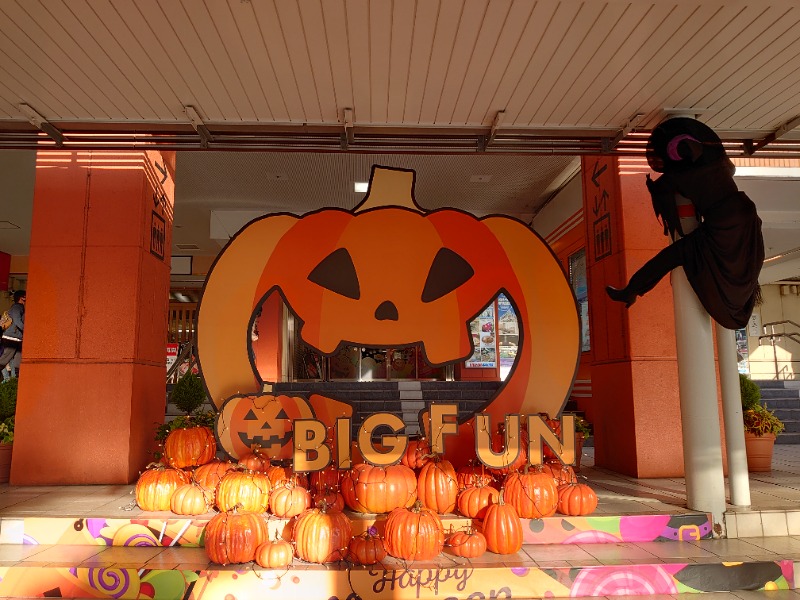 温泉登山トラベラーさんの天然温泉 平和島のサ活写真