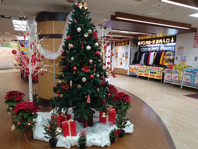 温泉登山トラベラーさんの天然温泉 平和島のサ活写真