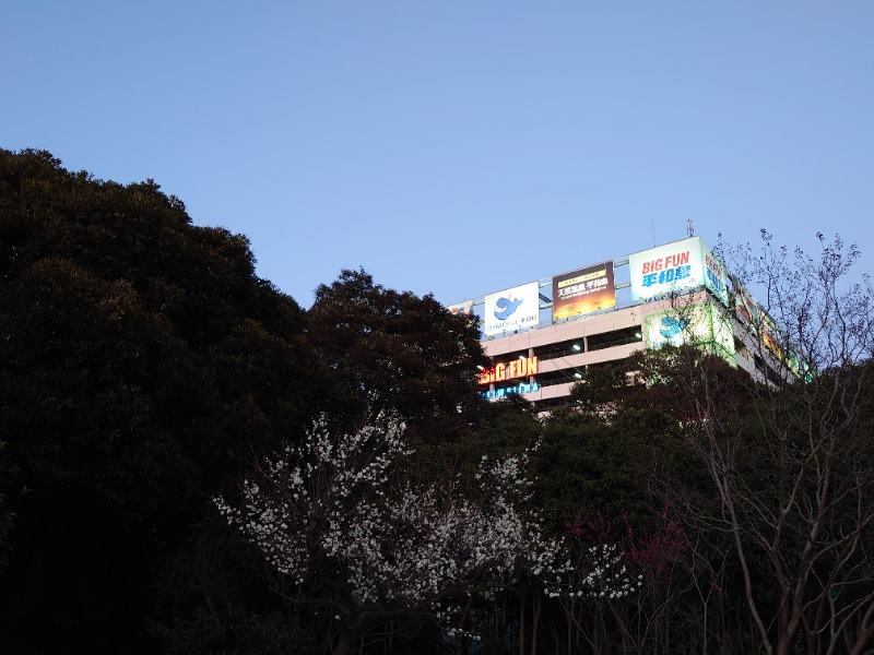 温泉登山トラベラーさんの天然温泉 平和島のサ活写真