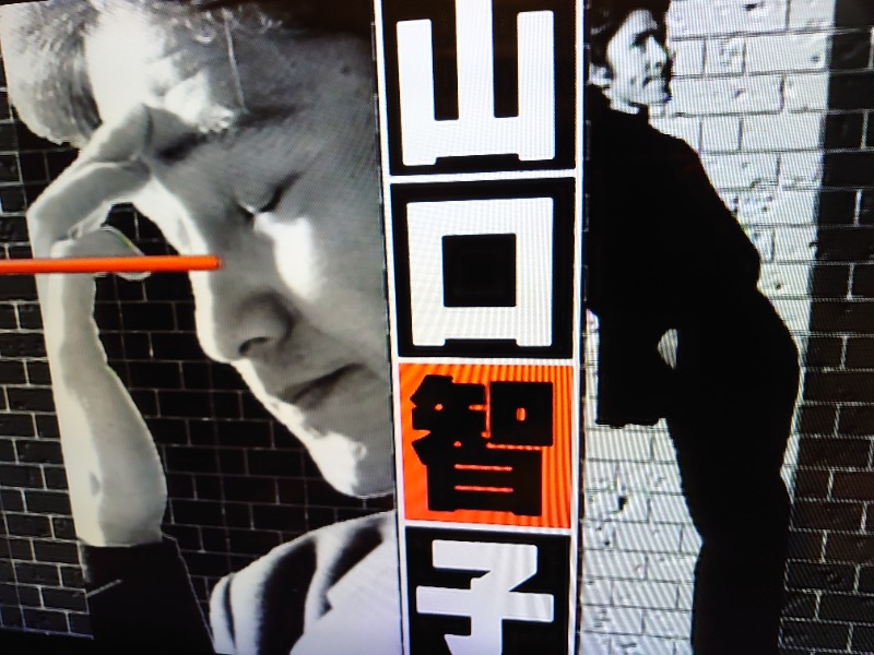 温泉登山トラベラーさんの天然温泉 平和島のサ活写真