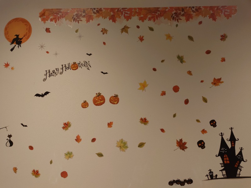 温泉登山トラベラーさんの天然温泉 平和島のサ活写真