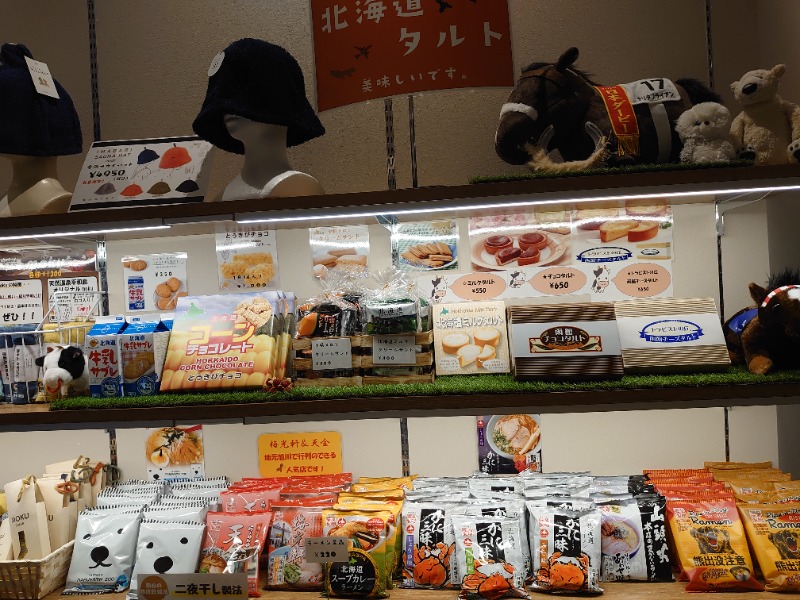 温泉登山トラベラーさんの天然温泉 平和島のサ活写真