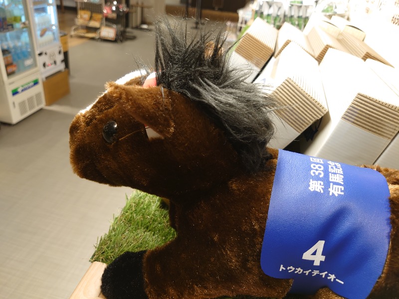 温泉登山トラベラーさんの天然温泉 平和島のサ活写真