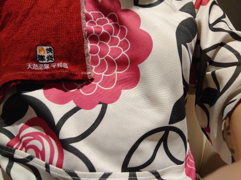 温泉登山トラベラーさんの天然温泉 平和島のサ活写真