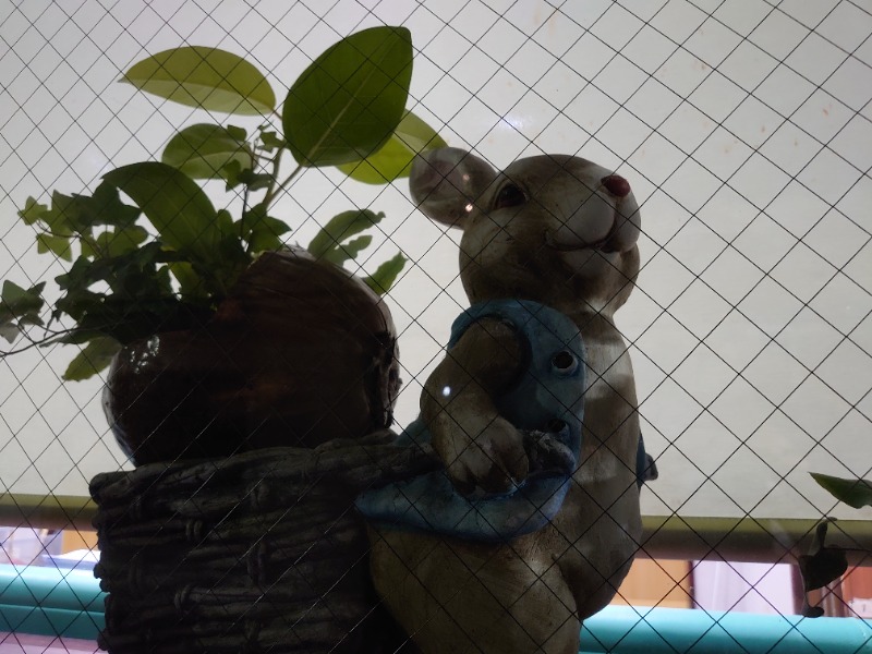 温泉登山トラベラーさんの天狗湯(第二天狗湯)のサ活写真