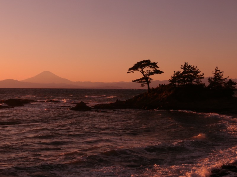 温泉登山トラベラーさんの横須賀温泉 湯楽の里のサ活写真