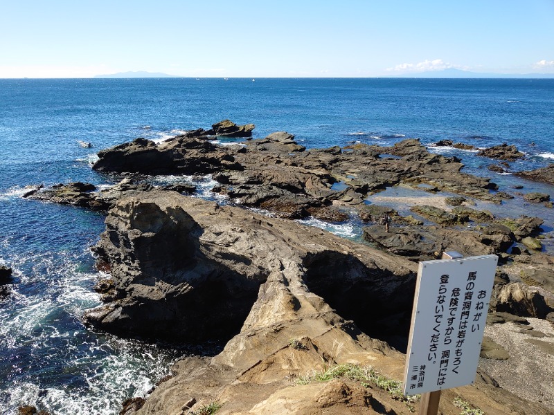 温泉登山トラベラーさんのホテルマホロバマインズ三浦・クアパークのサ活写真