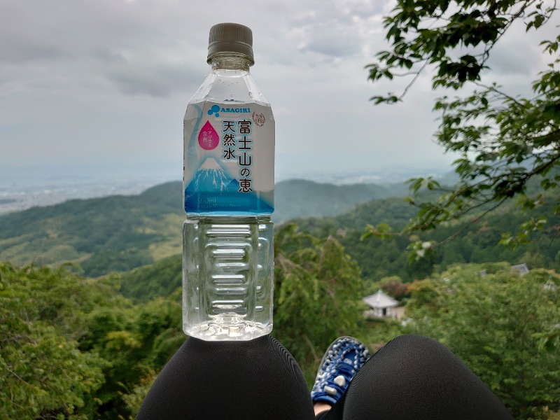 温泉登山トラベラーさんのサウナの梅湯のサ活写真