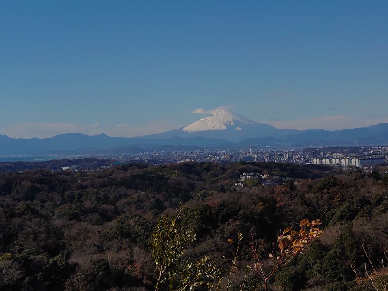 温泉登山トラベラーさんのCOCOFURO たかの湯のサ活写真
