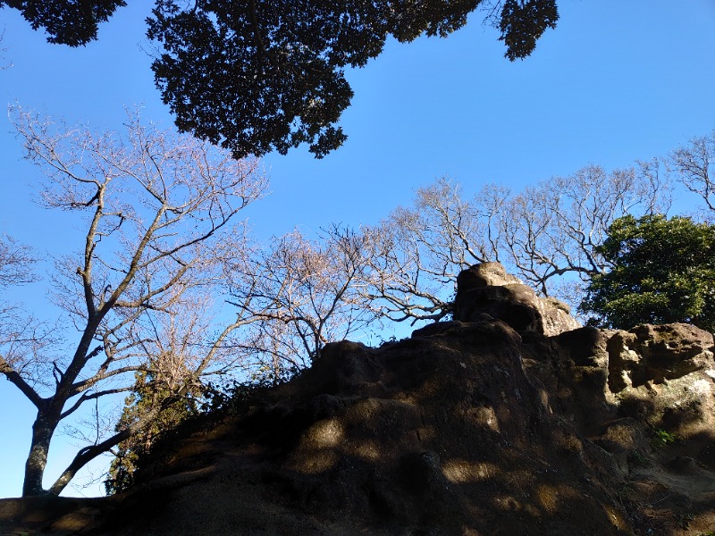 温泉登山トラベラーさんのCOCOFURO たかの湯のサ活写真