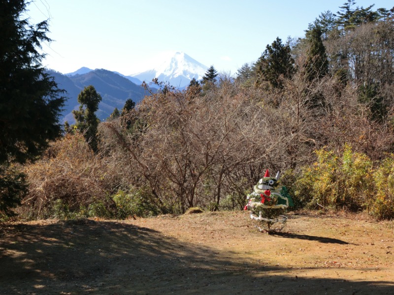 温泉登山トラベラーさんの山梨泊まれる温泉 より道の湯のサ活写真