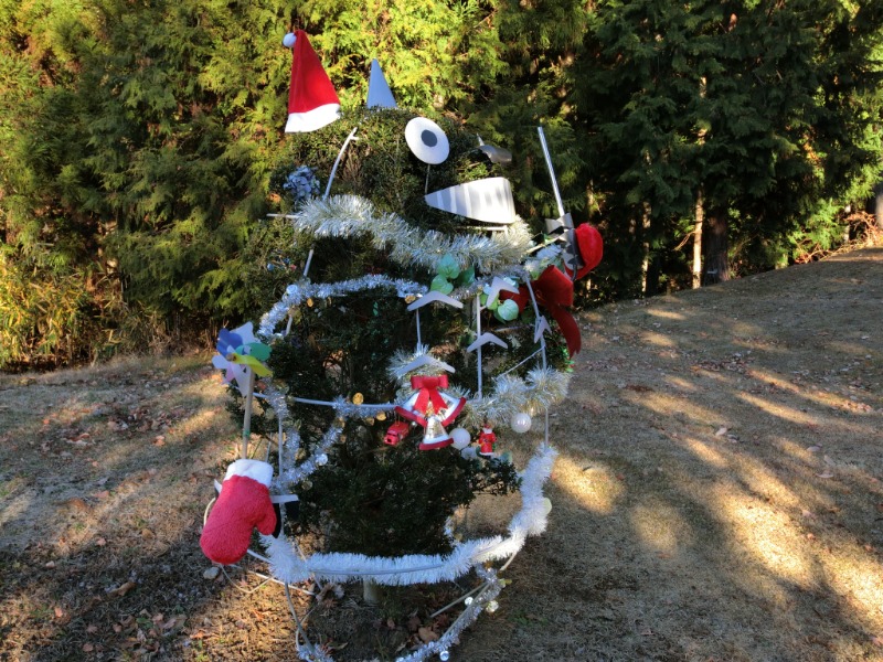 温泉登山トラベラーさんの山梨泊まれる温泉 より道の湯のサ活写真
