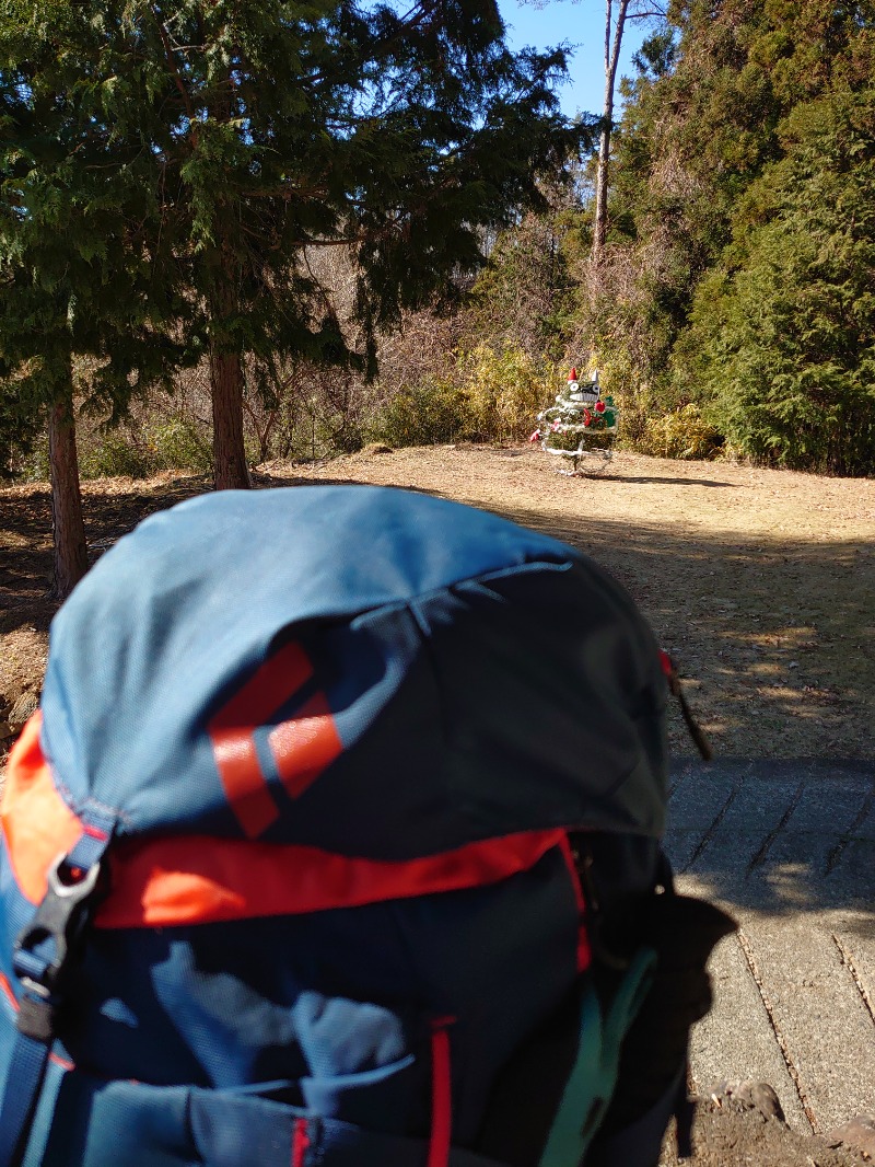 温泉登山トラベラーさんの山梨泊まれる温泉 より道の湯のサ活写真